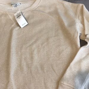 NWT American Eagle Crew Neck sweater